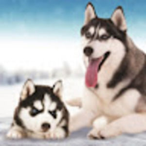 Meet your Posher, Kenzie